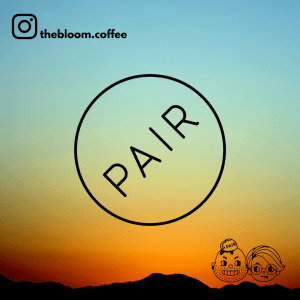 Coffee Roaster of the Month (Pair Cupworks) - Instagram Feed